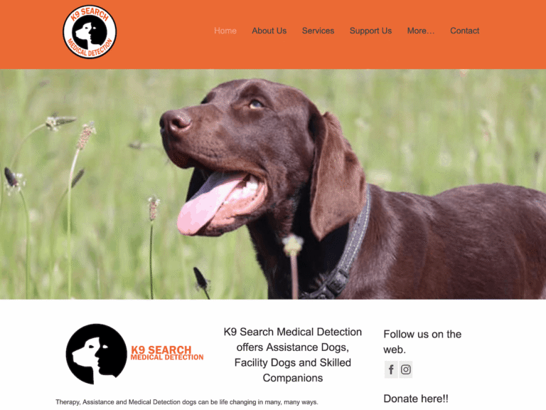 K9 Search Medical Detection